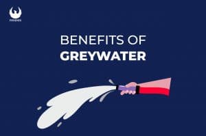 greywater system