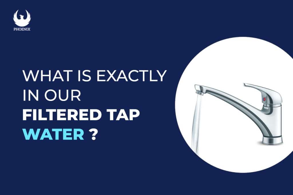 filtered tap water